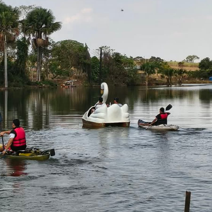 Pedalinho de cisne e caiaques no lago, com palmeiras ao fundo
