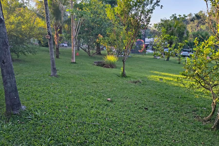 Gramado do camping entre as árvores