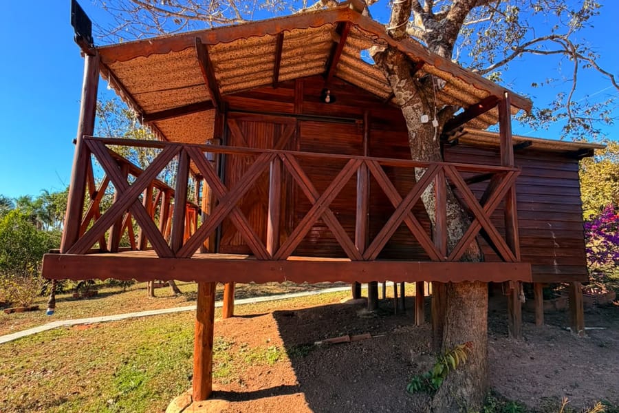 Cabana da Árvore Talin, de madeira, construída em volta de uma árvore